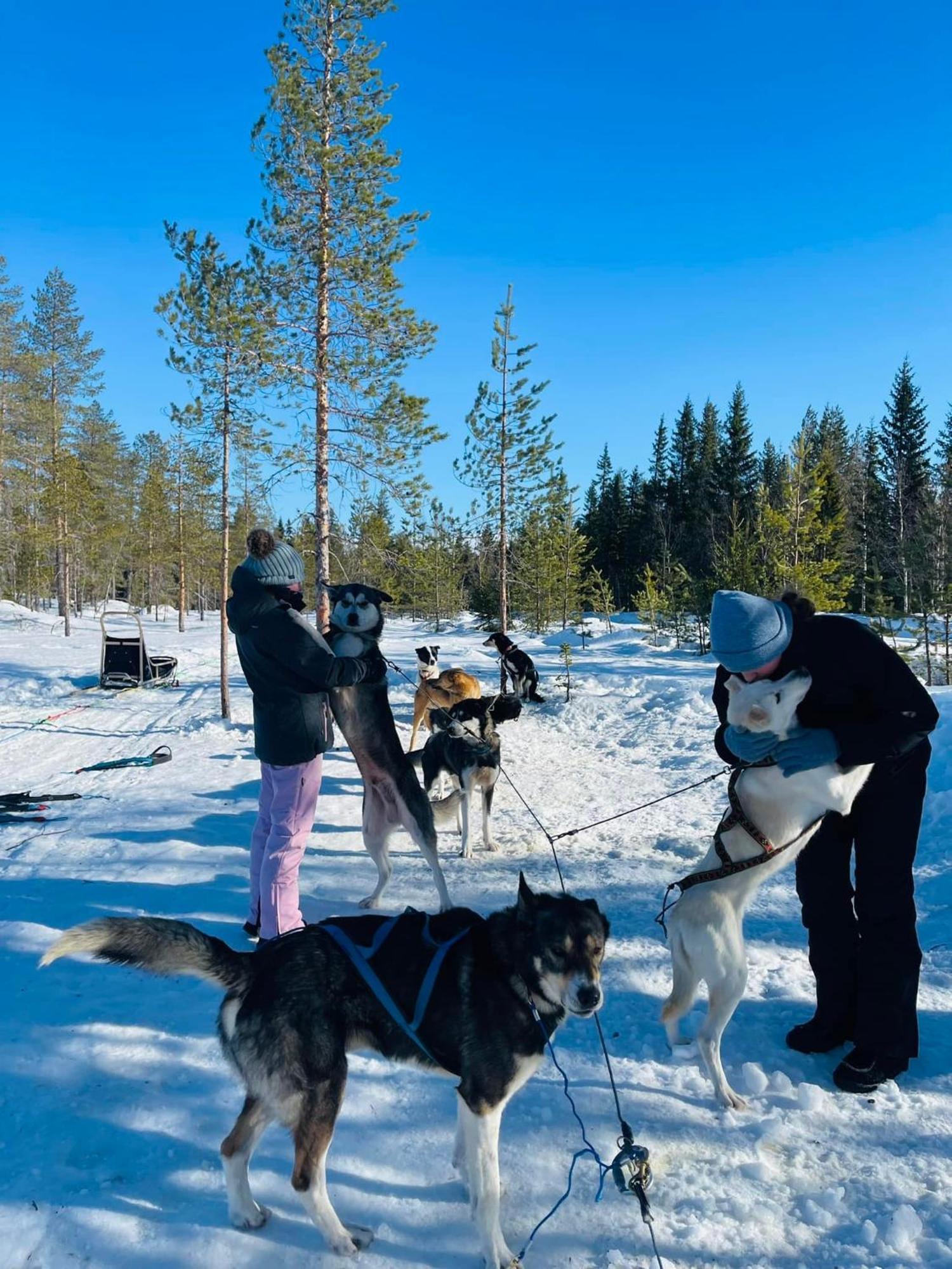 Saeterasen Hytter & Camping Trysil Exterior photo